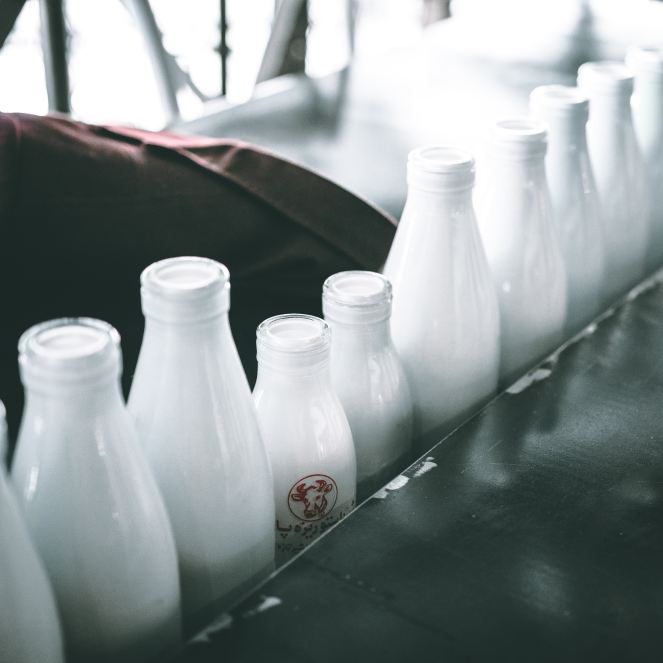 Bottles of milk, nutrient packed
